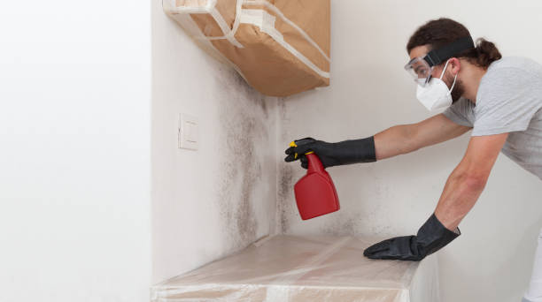 Professional Crawl Space Mold Removal technician working in Kingston, NJ
