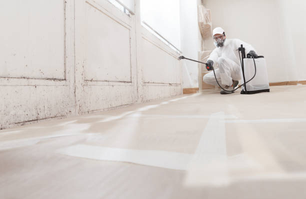24/7 Emergency Crawl Space Mold Removal experts in Kingston, NJ