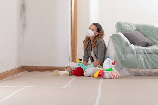 Reliable Crawl Space Mold Removal contractor in Kingston, NJ by WQB Mold Removal