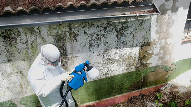 Top rated local Crawl Space Mold Removal specialists in Kingston, NJ